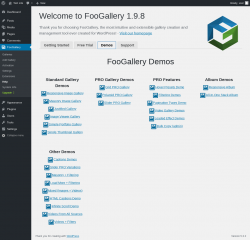 Page screenshot: FooGallery &rarr; Help &rarr; 
				Demos			