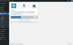 Page screenshot: FooGallery &rarr; Activation