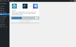 Page screenshot: &lsaquo; Test site &mdash; WordPress