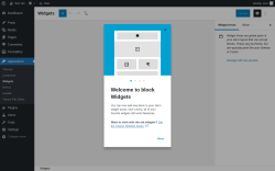 Page screenshot: Widgets &lsaquo; Test site &mdash; WordPress