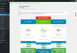 Page screenshot: FooGallery &rarr; Upgrade&nbsp;&nbsp;➤