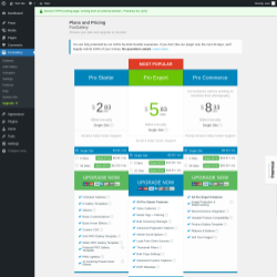 Page screenshot: FooGallery &rarr; Upgrade&nbsp;&nbsp;➤