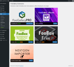Page screenshot: FooGallery &rarr; Extensions
