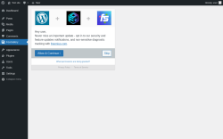 Page screenshot: &lsaquo; Test site &mdash; WordPress