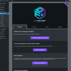 Page screenshot: FooGallery &rarr; Help