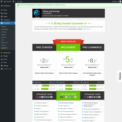 Page screenshot: FooGallery &rarr; Upgrade&nbsp;&nbsp;➤