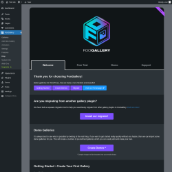 Page screenshot: FooGallery → Help