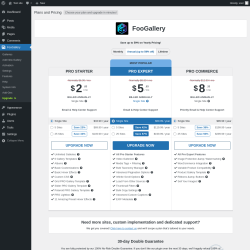 Page screenshot: FooGallery → Upgrade  ➤