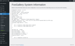 Page screenshot: FooGallery &rarr; System Info