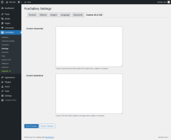 Page screenshot: FooGallery &rarr; Settings &rarr; Custom JS & CSS