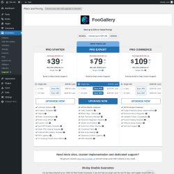 Page screenshot: FooGallery &rarr; Upgrade&nbsp;&nbsp;➤