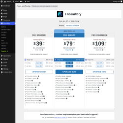 Page screenshot: FooGallery &rarr; Upgrade&nbsp;&nbsp;➤