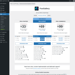 Page screenshot: FooGallery &rarr; Upgrade&nbsp;&nbsp;➤