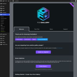 Page screenshot: FooGallery &rarr; Help