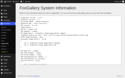 Page screenshot: FooGallery &rarr; System Info