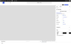 Page screenshot: Add Post &lsaquo; Test site &mdash; WordPress