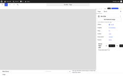 Page screenshot: Add Page &lsaquo; Test site &mdash; WordPress