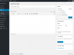 Page screenshot: Add New Page ‹ Test site — WordPress