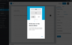 Page screenshot: Add New Page ‹ Test site — WordPress