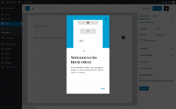 Page screenshot: Add New Page ‹ Test site — WordPress