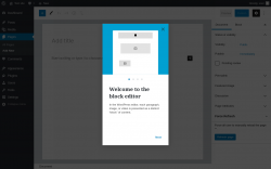 Page screenshot: Add New Page ‹ Test site — WordPress