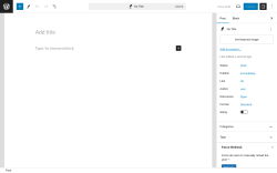 Page screenshot: Add New Post ‹ Test site — WordPress