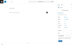 Page screenshot: Add Post ‹ Test site — WordPress