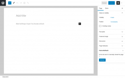 Page screenshot: Add New Page ‹ Test site — WordPress