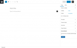Page screenshot: Add New Page ‹ Test site — WordPress