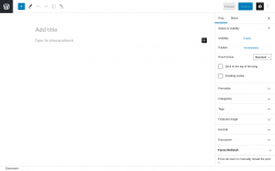 Page screenshot: Add New Post ‹ Test site — WordPress