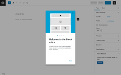 Page screenshot: Add New Page ‹ Test site — WordPress