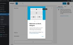 Page screenshot: Widgets &lsaquo; Test site &mdash; WordPress