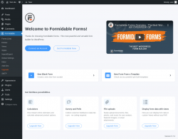 Page screenshot: Formidable | Welcome Screen ‹ Test site — WordPress