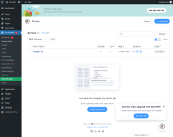 Page screenshot: Formidable  → Forms (Lite)