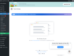 Page screenshot: Formidable  → Entries