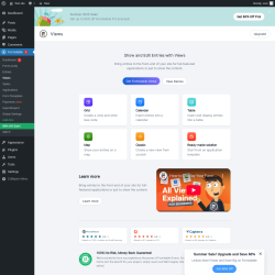 Page screenshot: Formidable  → Views