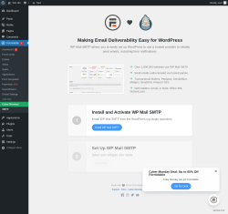 Page screenshot: Formidable  &rarr; SMTP