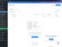 Page screenshot: Formidable  → Forms (Lite)