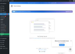 Page screenshot: Formidable  → Entries