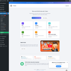 Page screenshot: Formidable  → Views