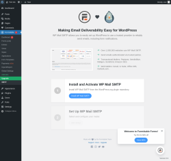Page screenshot: Formidable  &rarr; SMTP