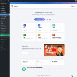 Page screenshot: Formidable  &rarr; Views