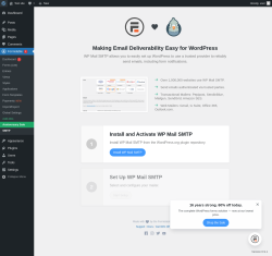 Page screenshot: Formidable  &rarr; SMTP