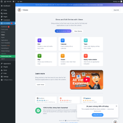 Page screenshot: Formidable  &rarr; Views