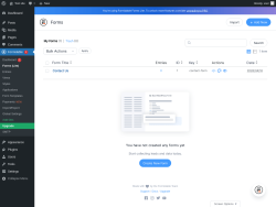 Page screenshot: Formidable  &rarr; Forms (Lite)
