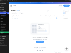 Page screenshot: Formidable  &rarr; Forms (Lite)