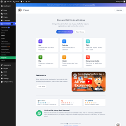 Page screenshot: Formidable  &rarr; Views