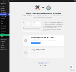 Page screenshot: Formidable  &rarr; SMTP