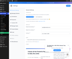 Page screenshot: Formidable  &rarr; Global Settings