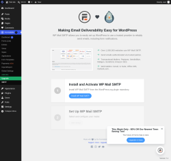 Page screenshot: Formidable  &rarr; SMTP